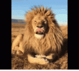 tenor-1914346698.gif