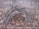 Stick Forts and Brush Piles