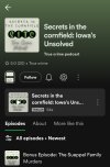 Screenshot_20240617-231323_Spotify.jpg