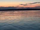 IMG_2351.JPG