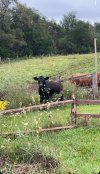 IMG_2402.jpg