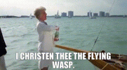 1729906681325.gif