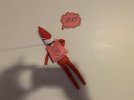 IMG_4391.jpeg