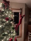 IMG_1658.jpeg