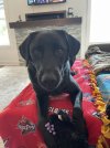 IMG_7490.jpeg