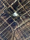 IMG_4594.jpeg