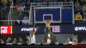 1000009377.gif