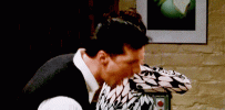 giphy (14).gif