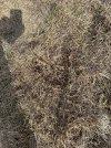 IMG_1970.jpeg