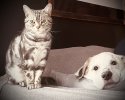 IMG_3068.jpeg