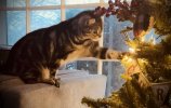 IMG_1381.jpeg