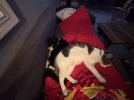IMG_6952.jpeg