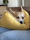 IMG_2558.jpeg