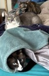 IMG_0661.jpeg