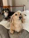 Ollie and Pippa.jpg