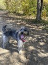 IMG_4619.jpeg