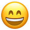 1747054960636.png