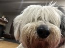 IMG_9509.jpeg