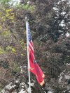 IMG_7916.jpeg