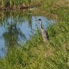 20250609_093751.jpg