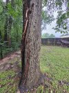 20250518_075641.jpg