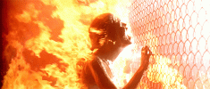 tumblr_12a97f02e646c17a58fb30bf54666e7b_198e4cdd_500.gif