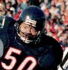 Singletary 2.jpg