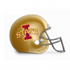 helmet.png