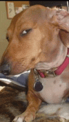 1775168932668.gif