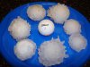 hail may 10 2011.jpg