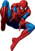 spiderman.jpg