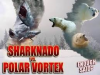 shark.png