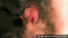 043C3683-D523-4F1E-8540-F3E42C553C3E.gif
