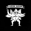 high-school-mascots-blooming-prairie-awesome-blossoms.jpg