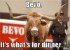 bevo-its-whats-for-dinner.jpeg