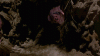 051332892881eb6a82f7bd5d4e35e39f.gif