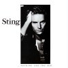 Nothing_Like_the_Sun_(Sting_album_-_cover_art).jpg