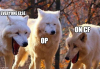 1636121903949.png