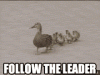 follow-the-leader.gif