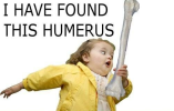 1666034067561.png