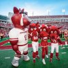 Arkansas mascots.jpg