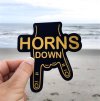 GIFs Texas HornsDown 3.jpg