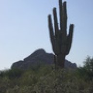 desertbound