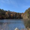 Jeembo