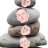 TheRockPile